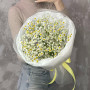 Букет из ромашек и гипсофилы — вид 3